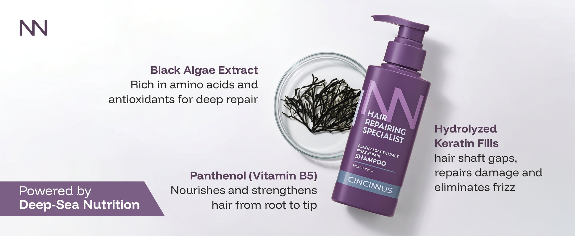 Frizz Repair Shampoo | Black Algae Extract | Smooth & Anti-Frizz Hair Care | Nourishing Shampoo for Dry & Frizzy Hair