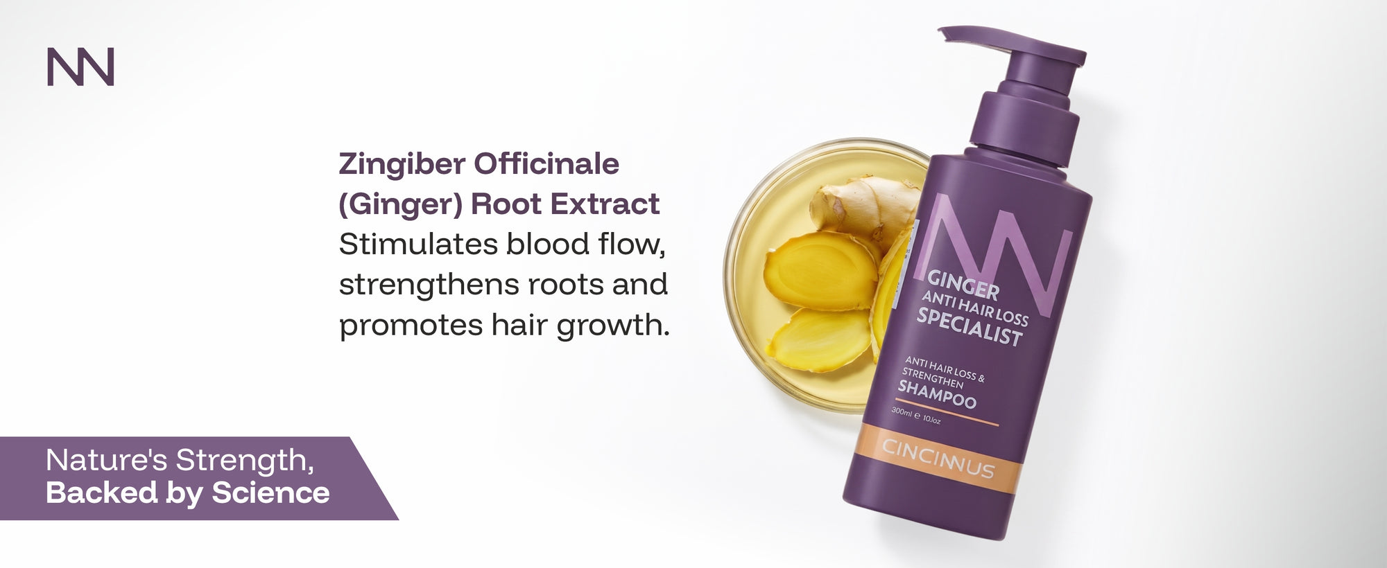Anti Hair Loss & Strengthening Shampoo | Helps Reduce Hair Fall & Strengthen Roots | Daily Use Shampoo for Weak & Thinning Hair