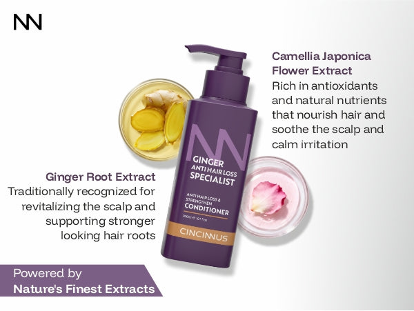 Ginger Anti Hair Loss & Strengthen Conditioner | Camellia Extract | Strengthening Conditioner for Weak, Thinning Hair