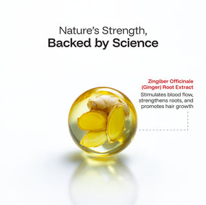 Anti Hair Loss and Strengthen Shampoo