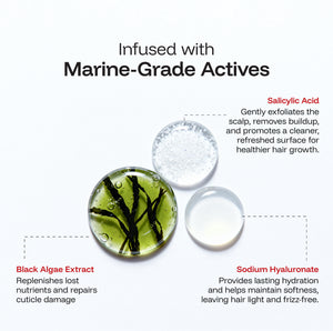 Frizz Repair Hair Mask (Black Algae Extract)