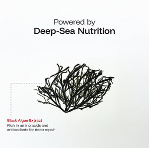 Frizz Repair Shampoo (Black Algae Extract)