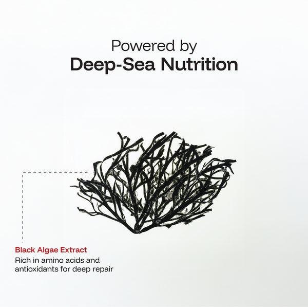 Frizz Repair Shampoo (Black Algae Extract)