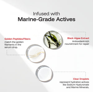 Frizz Repair Conditioner (Black Algae Extract)