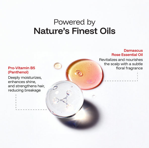 Nourish & Repair Shampoo + Hair Mask Combo | Strengthens & Repairs Hair | Daily Use Gentle Shampoo for All Hair Types