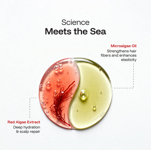 Anti Dandruff Hair Mask(Red Algae Extract)