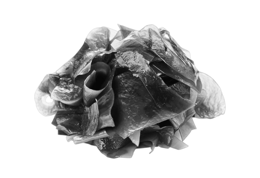 Black Algae